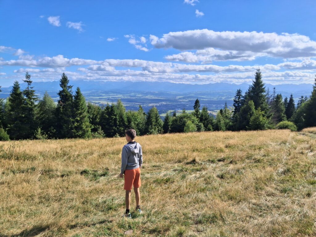 Syn na polanie Bukowina Obidowska, w tle panorama Podhala w stronę Tatr