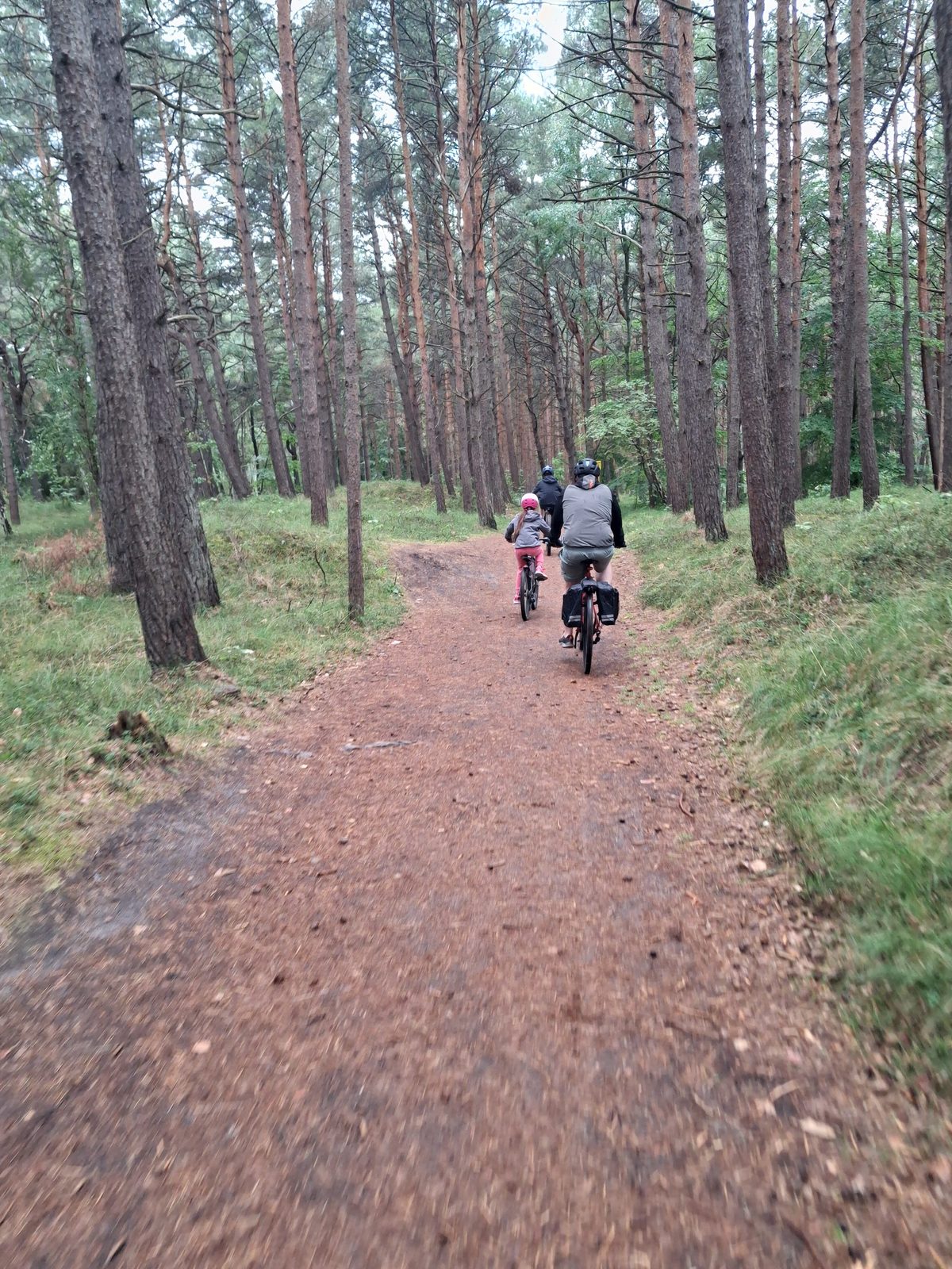 Dwoje dzieci i dorosły jadą na rowerach leśną piaszczystą drogą w sosnowym lesie na trasie z Rowów do Ustki